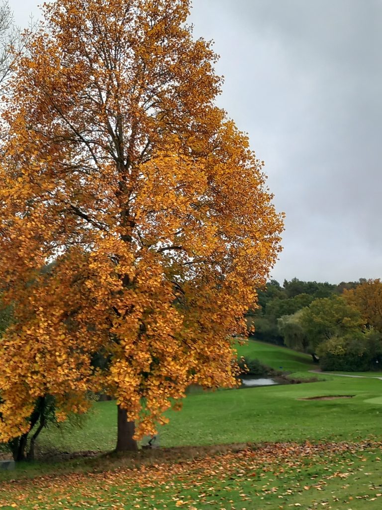 Gainsborough - Nov 23