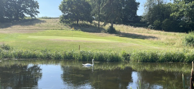 Constable - July 26